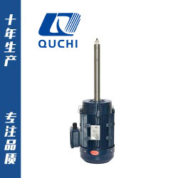 非標(biāo)定制系列長(zhǎng)軸電機(jī)